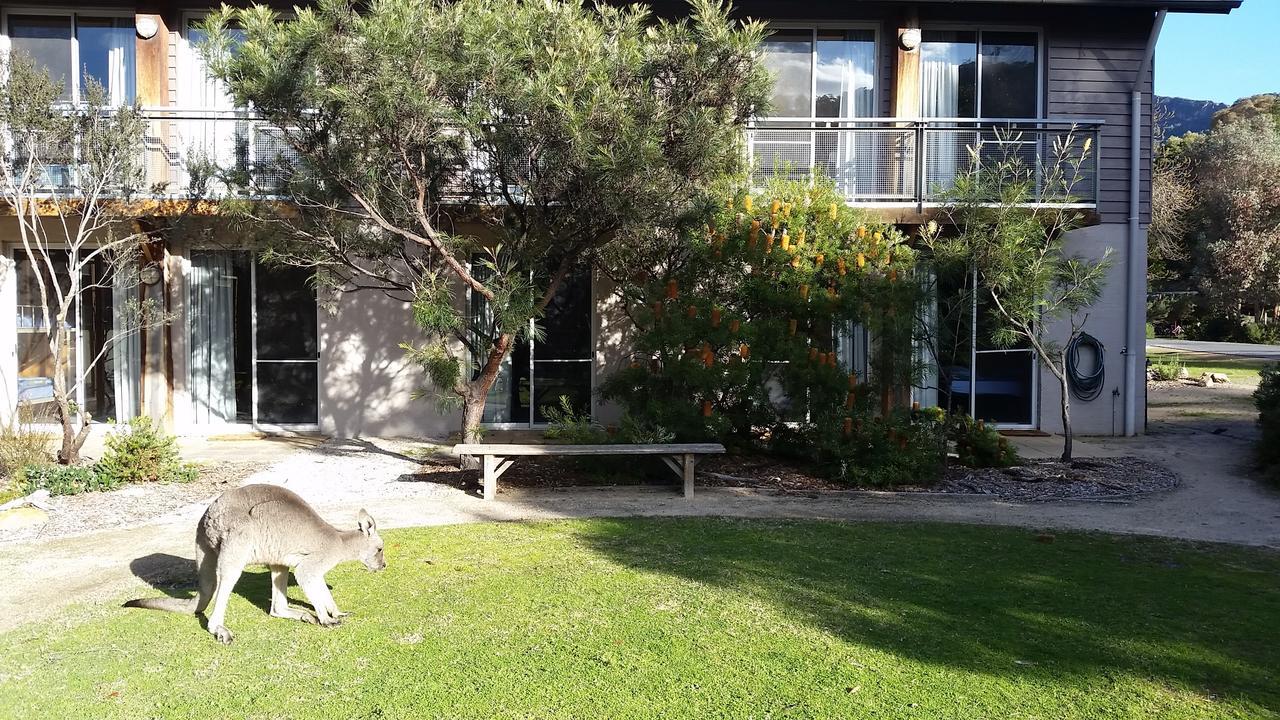 Yha Grampians Eco, Halls Gap Exterior photo